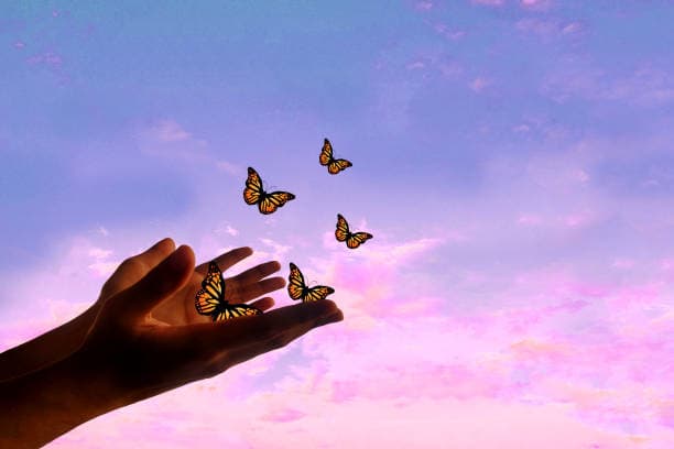 Transformation & New Beginnings